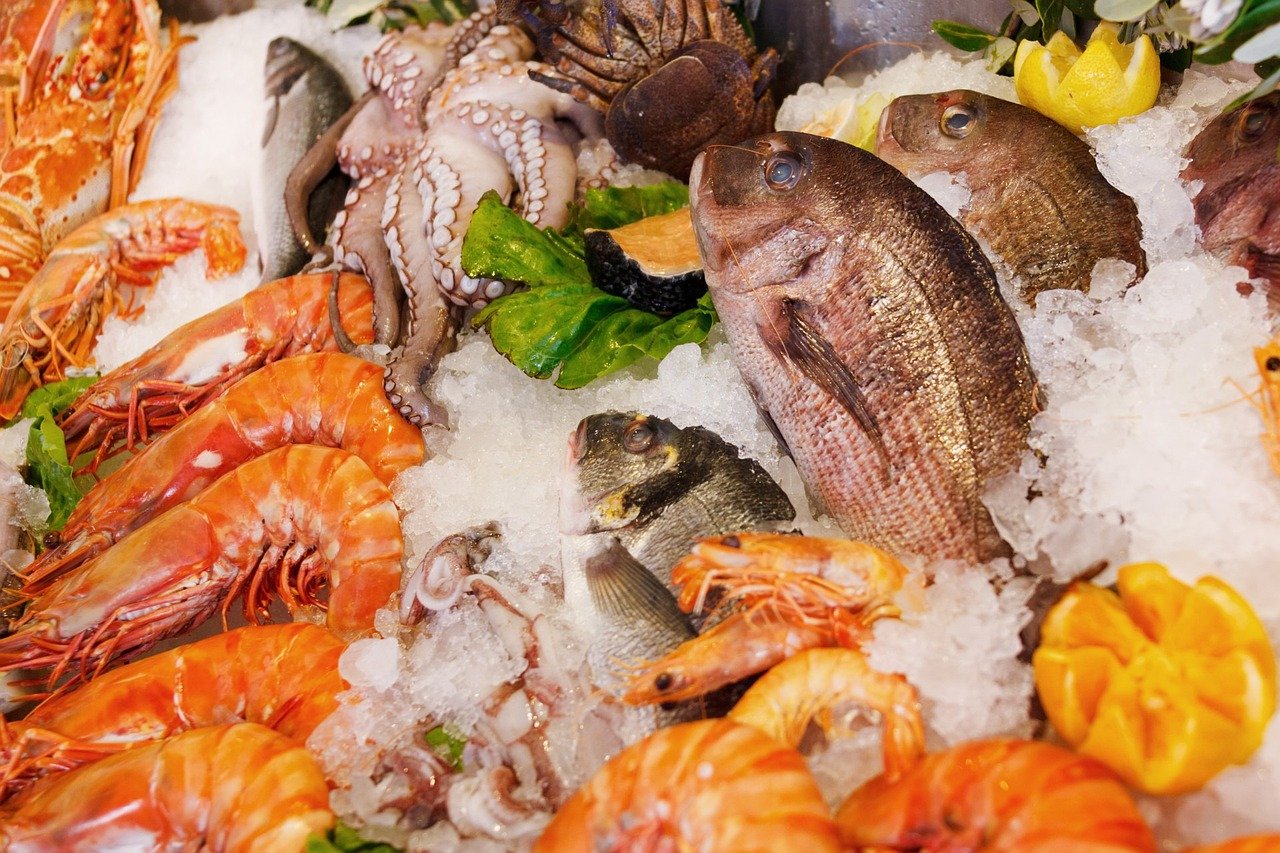 タンパク質だけじゃない 脂質の含有量が豊富な 魚 10選 Gofood 低糖質研究所